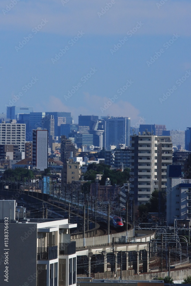 Fototapeta premium 東京のビル群を背景に高架橋を走るE6系新幹線_2022/9/10撮影