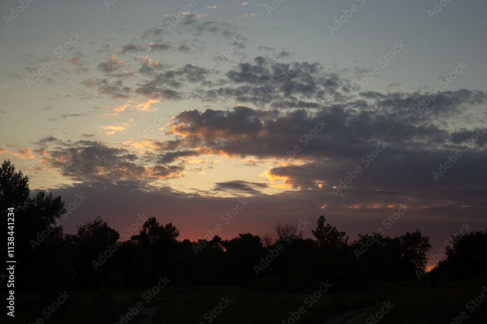 Obraz premium a field of wild flowers with a blurry background.