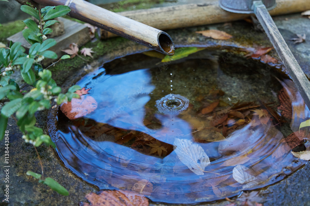 Obraz premium 石の手水鉢 水面