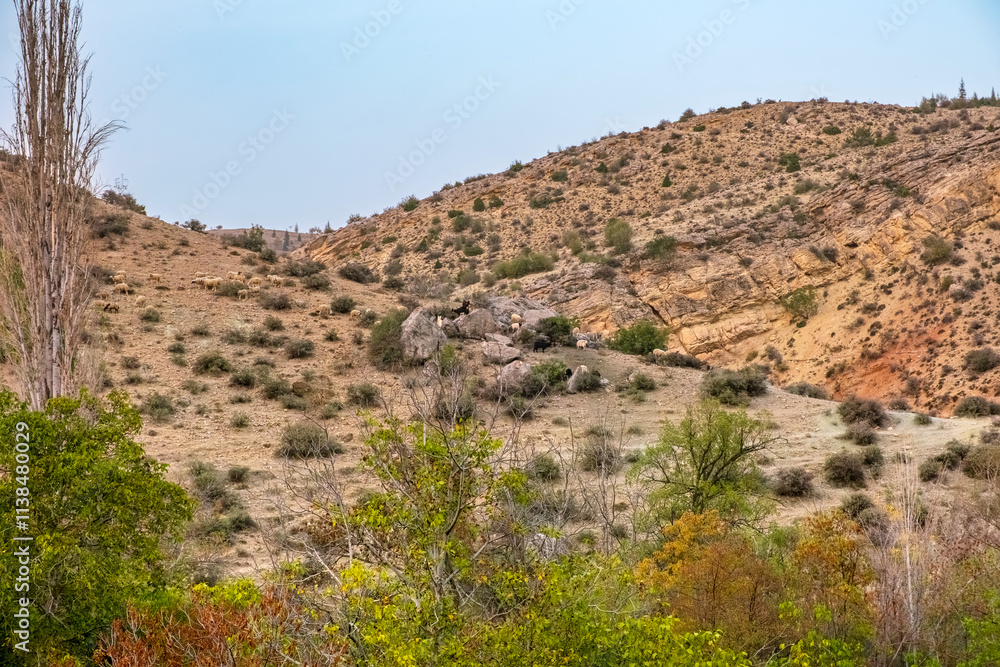 Hills and cliffs under a clear blue sky. A sad landscape with sparse grasses and trees. Konya; Turkey. Hills and cliffs under a clear blue sky. A sad landscape with sparse grasses and trees. Konya; Turkey.