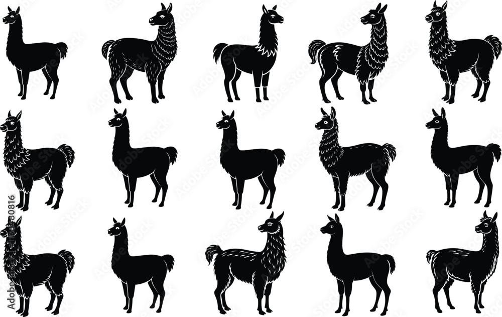 Naklejka premium Set Of Llama Silhouette Vector Illustration