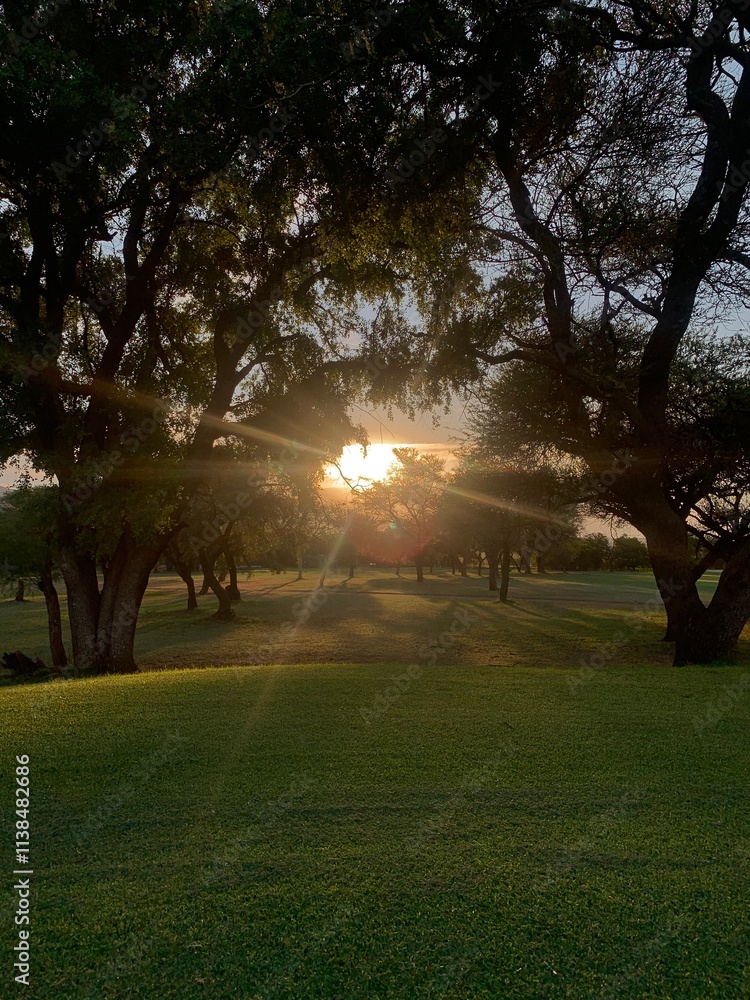 Obraz premium sun set nature beauty