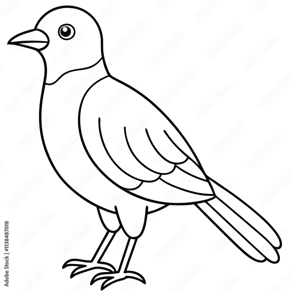 Fototapeta premium A cute bird vector art line for coloring pages