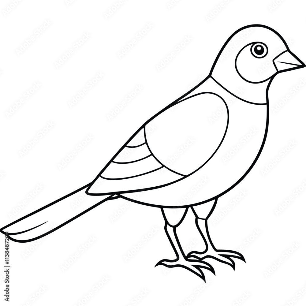 Fototapeta premium A cute bird vector art line for coloring pages