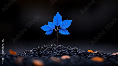 Blue Sprout of Hope: A single blue sprout emerges from dark, fertile soil, symbolizing resilience, growth, and the promise of a brighter future.   photo