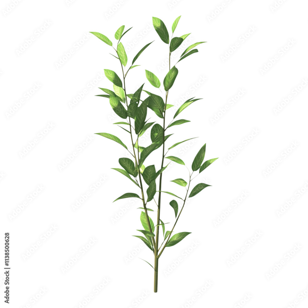 Obraz premium Fresh green plant stem and leaves featuring lush springtime growth are showcased vertically, isolated on a transparent background for seamless