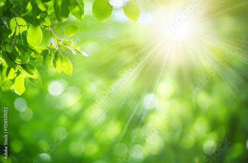 Sunlight Streams Through Lu...