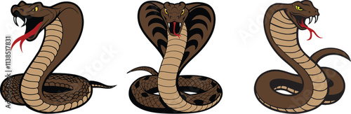 Set of Realistic dark color cobra vector illustration.