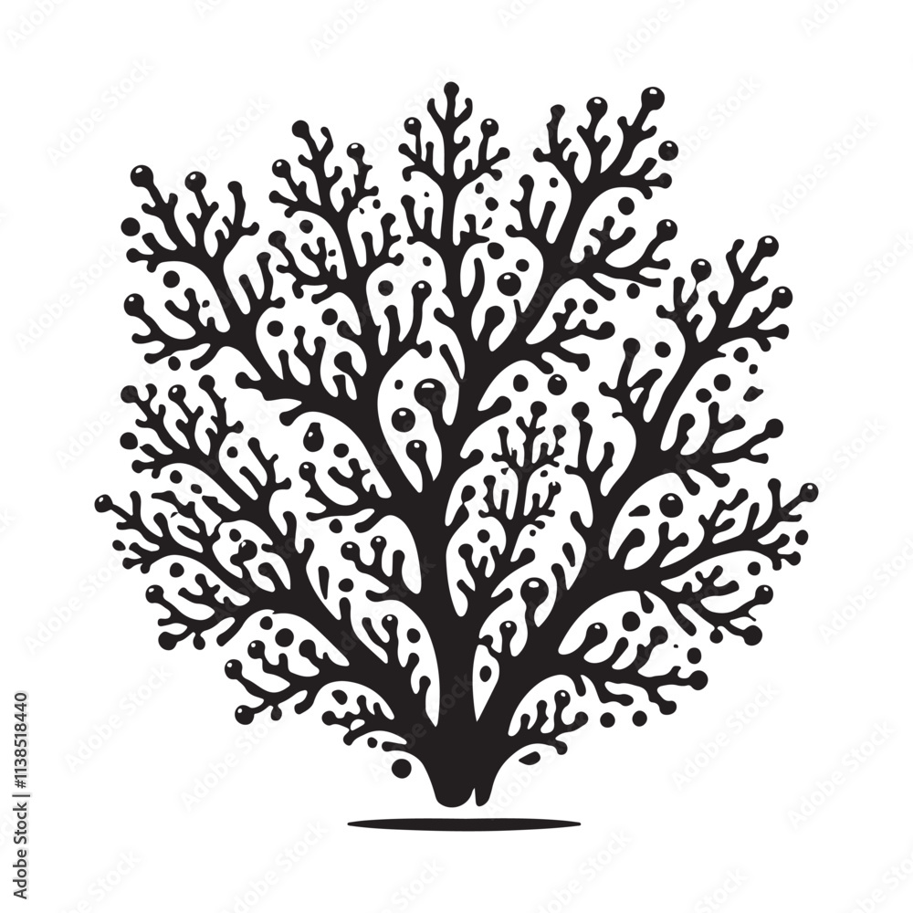 Obraz premium Coral seamless Silhouette Vector Illustration, Solid White Background.