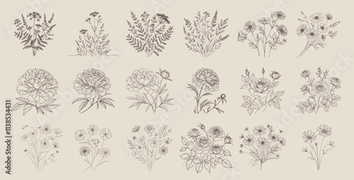 Autumn botanical line drawing set, hand drawn fall flower bouquets, line drawing vector illustration.