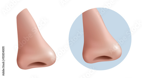 3d realistic vector icon illustration. Human nose profile. Man anatomy, body parts, respiratory elements.