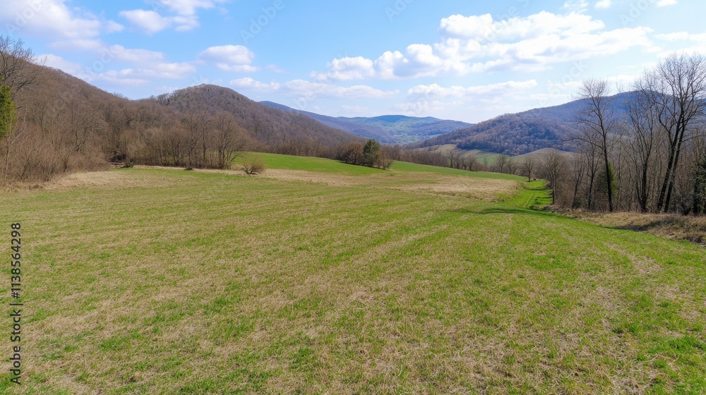 Expansive Green Meadow Surrounded by Rolling Hills Under Blue Sky Expansive Green Meadow Surrounded by Rolling Hills Under Blue Sky