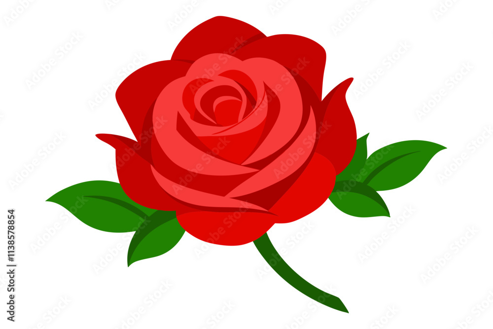 Realistic red rose Realistic red rose