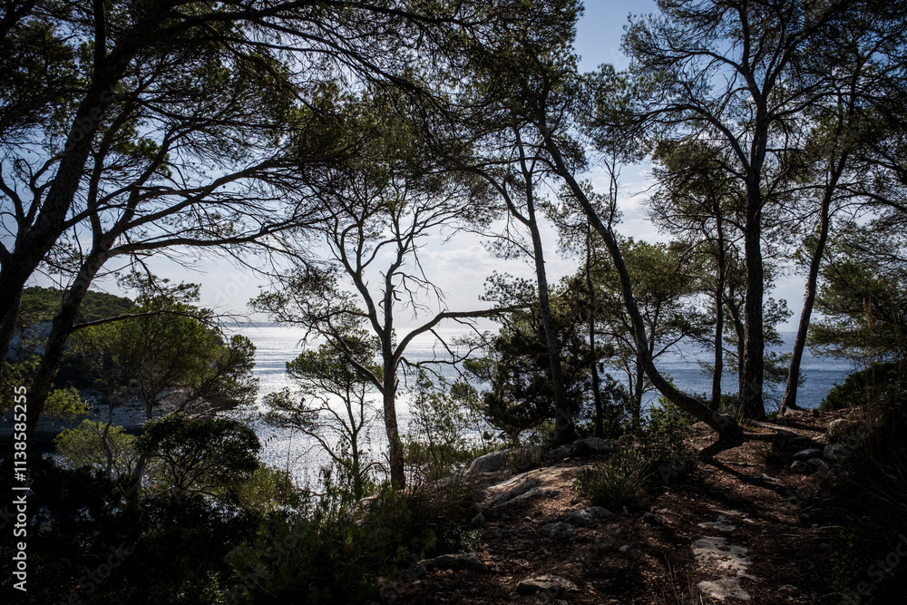 on the camino de cavalls menorca on the camino de cavalls menorca