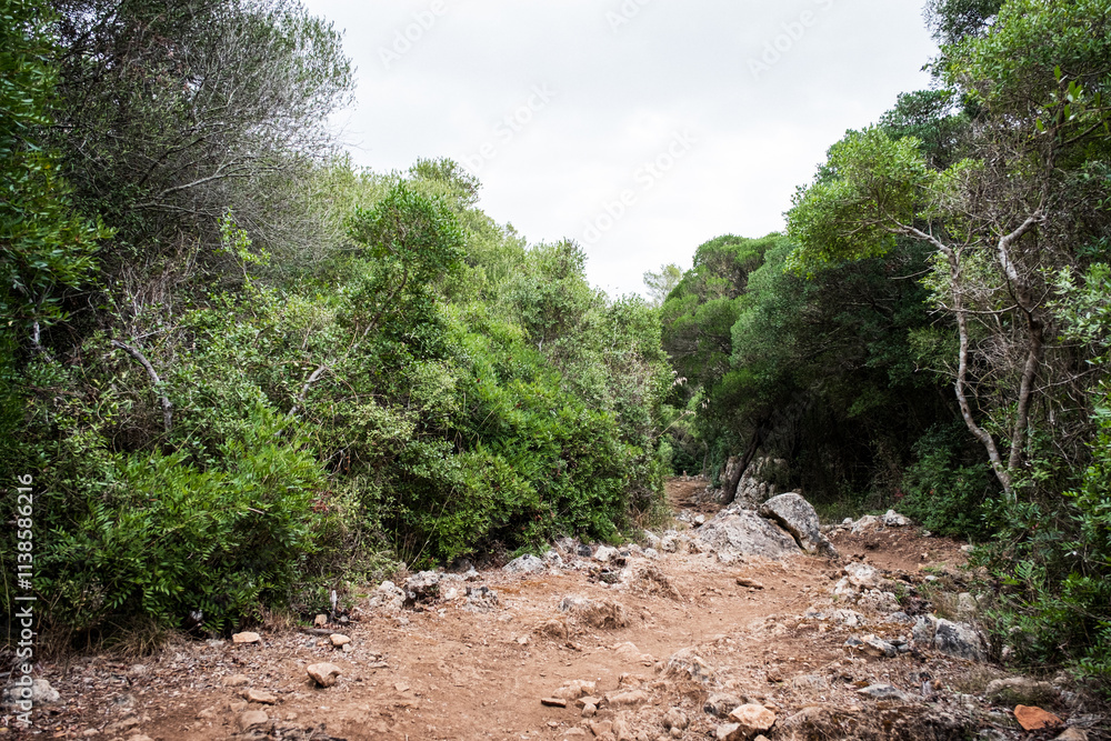 Fototapeta premium on the camino de cavalls menorca 