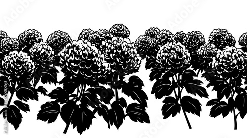 Field of chrysanthemums growing in rows for commercial cultivation, Vectorized Plant Art