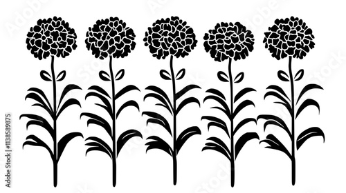 Field of cultivated carnations growing in rows outdoors, Vectorized Plant Art