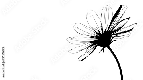 A flower with a long tubular structure leading to open, curved petal tips, Vectorized Plant Art