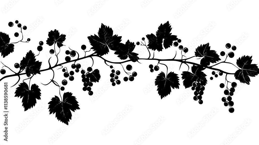 Fototapeta premium Grape vine with lobed leaves and clusters of fruit, Vectorized Plant Art