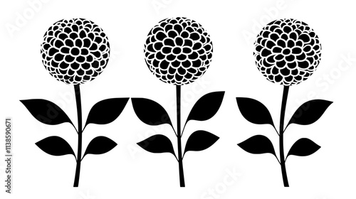 Globeflower spherical blooms rising above glossy leaves, Vectorized Plant Art