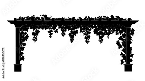 Grape vines trained on pergola over courtyard patio, Vectorized Plant Art
