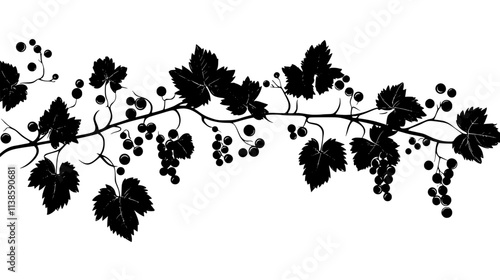 Grape vine with lobed leaves and clusters of fruit, Vectorized Plant Art