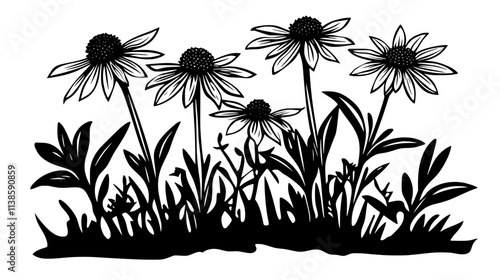 A group of coneflowers growing in a dry, arid field with sparse surrounding plants, Vectorized Plant Art