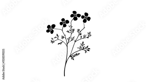 A group of tiny flowers forming a tight cluster on a short stalk, Vectorized Plant Art