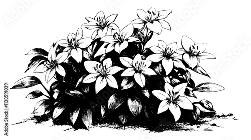 A group of toad lilies blooming near the shaded base of a large tree, Vectorized Plant Art
