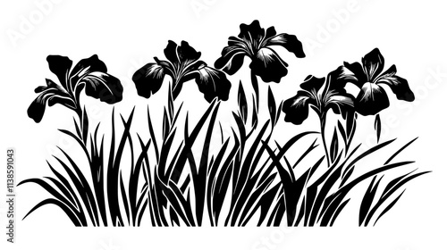 Group of Siberian irises growing together in a landscaped garden, Vectorized Plant Art