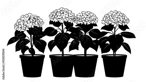 A group of potted panicle hydrangeas placed in an organized patio display, Vectorized Plant Art