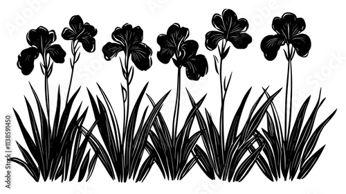 Iris plants with sword-like leaves and flowers in a garden bed, Vectorized Plant Art
