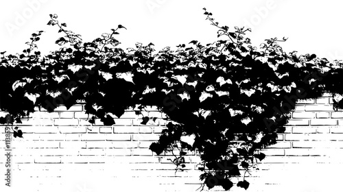 Ivy covering a brick wall on the exterior of an old building, Vectorized Plant Art