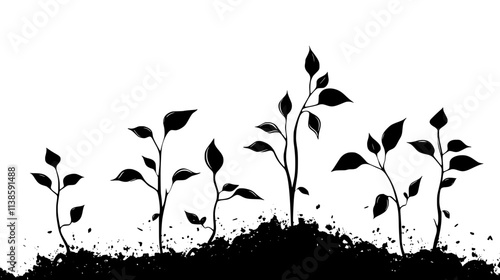 Jack bean seedlings emerging from soil in time-lapse, Vectorized Plant Art