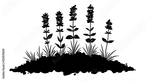 A lavender plant growing in a dry, arid garden with sparse soil and minimal vegetation, Vectorized Plant Art