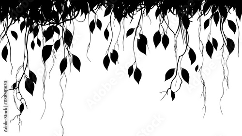 Liana vines hanging from the canopy to the forest floor, Vectorized Plant Art