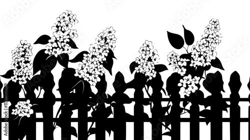 Lilac bush in full bloom near a white picket fence, Vectorized Plant Art