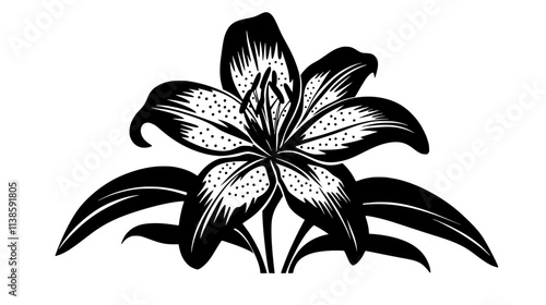 Lily flower head viewed from above showing petal arrangement, Vectorized Plant Art