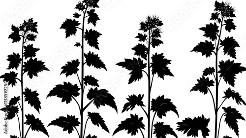 Nettle plants growing wild for fiber extraction and industrial use, Vectorized Plant Art