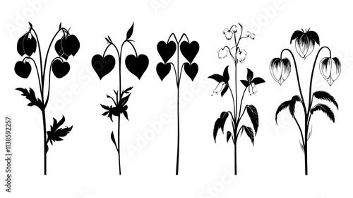 Multiple varieties of bleeding heart flowers side by side, Vectorized Plant Art