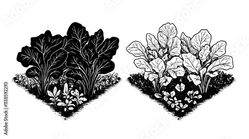 No-till vegetable plot with cover crops between seasons, Vectorized Plant Art