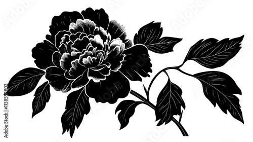 Peony with large, round flower head and glossy leaves, Vectorized Plant Art