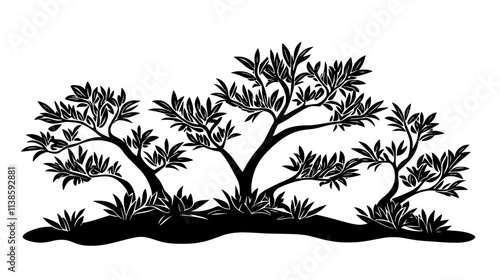 Podocarpus shrub shaped into topiary in a garden, Vectorized Plant Art