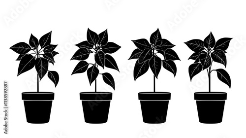 Poinsettia plants in pots for the holiday market, Vectorized Plant Art