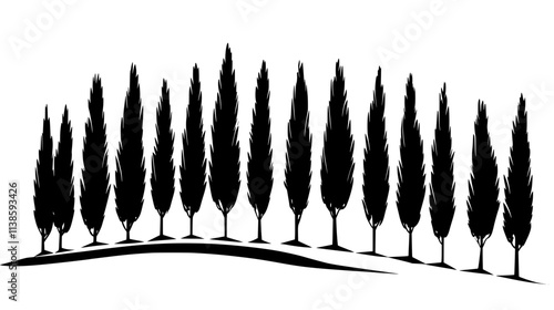 Row of cypress trees along driveway, Vectorized Plant Art