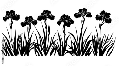 Row of Siberian irises growing along a garden pathway, Vectorized Plant Art