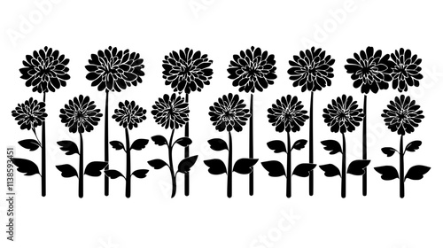 Rows of chrysanthemums growing in a formal garden during autumn, Vectorized Plant Art