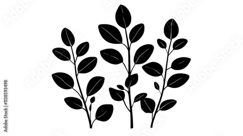 Sage plant with fuzzy, elongated leaves on thick stems in a sunny garden, Vectorized Plant Art