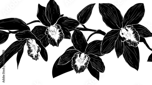 Several Dendrobium orchids growing together in a naturally humid environment, Vectorized Plant Art