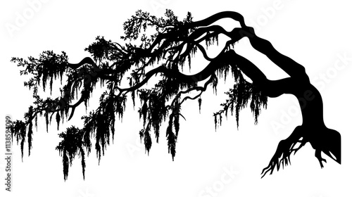 Spanish moss draping from live oak tree branches, Vectorized Plant Art